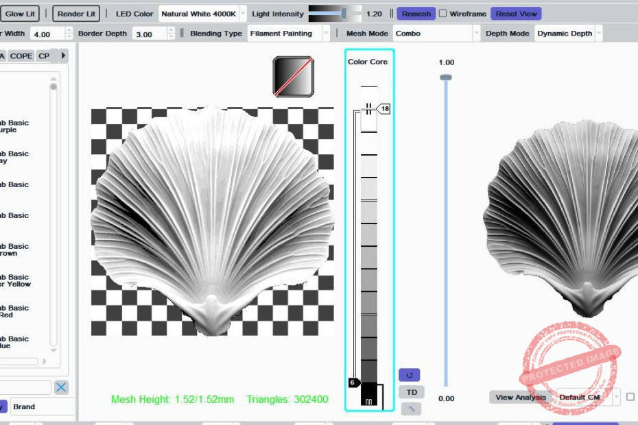 Seashell Test
